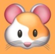 WWW,yyy76·COM网站APPAPP应用